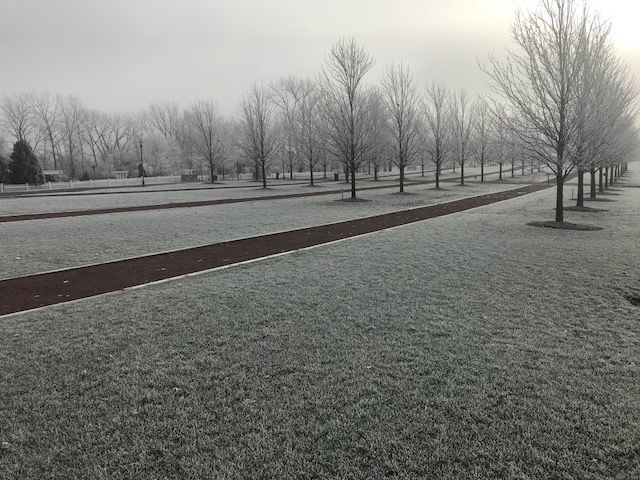 Frosty morning